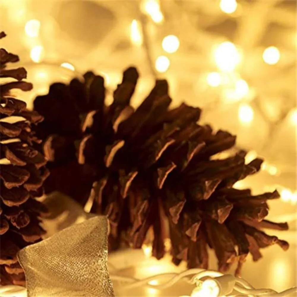 100 Count Mini Clear Christmas Lights 21ft White Wire Indoor Outdoor